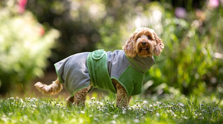 Banner 720 x 400.jpg